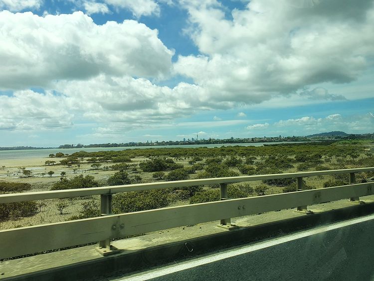 The Mangrove Murder (1/4)